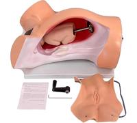 Générique Modèle d'accouchement Simulateur de Formation, modèle médical Anatomique de fœtus, démonstration d'accouchement Comprend des modèles d'utérus de bébé pour l'étude, l'affichage