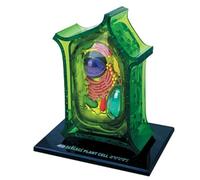 Générique Modèle d'anatomie de cellule végétale 4D, modèles pédagogiques amovibles de biologie avec 26 pièces, modèle d'anatomie des organites de cellule végétale pour l'enseignement