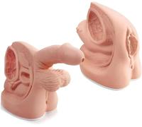 Générique Modèle d'anatomie des Organes génitaux internes et externes et Moule de cathéter urinaire pour l'enseignement Clinique et la Formation Pratique