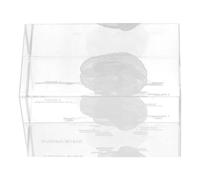 Générique Modèle D'anatomie du Cerveau Humain en Cristal 3D Transparent, Décoration Intérieure Moderne, Figurine Éducative Sculptée Détails Précis, Presse-Papier pour Élève en Médecine,