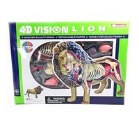 Générique Modèle d'anatomie du lion 4D Vision - Collectionnable de qualité médicale avec organes et parties du corps entièrement détachables, simulation de composition du squelette d'animal