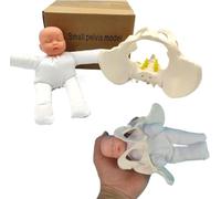Générique Modèle de bassin pour démonstration de l'accouchement - Mini modèl de bassin féminin et bébé avec articulations mobiles, idéal pour la formation et l'éducation en obstétrique