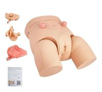 Générique Modèle de cathéter Interchangeable Homme-Femme, Mannequin de cathéter urinaire en PVC pour l'enseignement Clinique médical