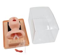 Générique Modèle de formation avancé sur l'intubation néonatale Mannequin, PVC sur l'intubation trachéale du nourrisson - First Aid Oral/Oral Nasal Intubation Airway Management Trainer for Teaching