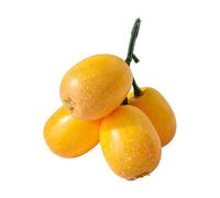 Générique Modèle de Fruit de nèfle Artificiel simulé, adapté à la Conception intérieure et vitrines de Magasin, Fruits de Simulation réalistes