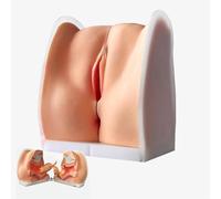 Générique Modèle de guide contraceptif féminin, modèle de mannequin gynécologique féminin, modèle d'utérus et de col de l'utérus en silicone 1:1, modèle génital féminin