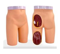 Générique Modèle de pratique d'injection des fesses, modèle d'entraînement aux injections musculaires, 3 méthodes d'entraînement à l'injection, modèle pédagogique médical pour la formation