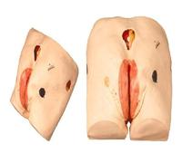 Générique Modèle de Soins Infirmiers avancé pour Les escarres Mannequin d'enseignement pour Les escarres Simulateur Humain pour Les étudiants Enseignement Formation médicale Compétences