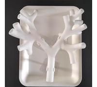 Générique Modèle d'entraînement à la bronchoscopie, modèle anatomique de l'arbre bronchique avec bronchoscope, ensemble de fibres bronchiales pour l'enseignement des médecins,Level 3 white