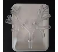 Générique Modèle d'entraînement à la bronchoscopie, modèle anatomique de l'arbre bronchique avec bronchoscope, ensemble de fibres bronchiales pour l'enseignement des médecins,Level 3 transparent