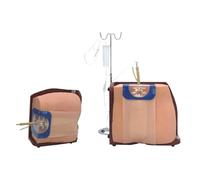 Générique Modèle d'entraînement à la ponction de la colonne vertébrale, simulateur de ponction lombaire pour adultes, modèle clinique de formation à l'anesthésie spinale et épidurale