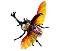 Générique Modèle d'organe 4D Animal Anatomique Biologique Insecte Détachable 21 Pièces Cerf-Scarabée Modèle d'anatomie d'organe pour la science Recherche éducative Démonstration