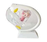 Générique Modèle d'utérus transparent, modèle anatomique du vagin humain, modèle d'organe reproducteur féminin, modèles d'enseignement médical pour l'examen et la présentation de la reproduction,Blanc