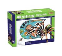 Générique Modèles d'anatomie d'araignée 4D Vision - amovible 33 parties organes et parties du corps Modèle d'enseignement médical - pour l'étude de l'enseignement du diaplay, modèle anatomique animal