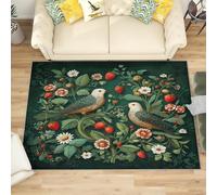 Générique Moderne Poil Court Tapis Exterieur Salon Cuisine 60x90 cm Coloré Doux Lavable Antidérapant Tapis Motifs de Fleurs Et d'oiseaux en Relief pour Entrée, Chambre, Couloir Décoration