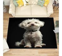 Générique Moderne Poil Court Tapis Exterieur Salon Cuisine 80x150 cm Shih Tzu Blanc Doux Lavable Antidérapant Tapis Noir pour Entrée, Chambre, Couloir Décoration