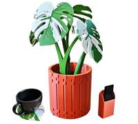 Générique Monstera Plant Coasters Set 3D Printed,Funny Magnetic Monstera Pot Coasters,Creative Turtle Leaf Tropical Leaves Plant Coaster,Non Slip Anti Heat Reusable Home Coaster