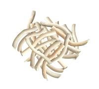 Générique Morceaux de Bois flotté Naturel pour décoration d Aquarium, Longueur 2 à 3 Pouces, Parfaits pour décor de bac à Poissons, aquascaping DIY, pour enrichir la biodiversité, au Rendu Rustique