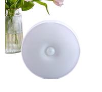Générique Motion Activated Night Light, Led Action Detector Lights, 3.39x0.71inches, Usb Smart Human Body Sensor, Energy-Efficient Closet Illumination, Automatic On and off Sensor Light for Home