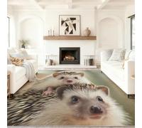 Générique Multicolore Tapis Salon 90 x 150 cm, Antidérapant Et Lavable en Machine Tapis, Poil Ras Photographier des Hérissons Mignons Tapis pour Exterieur Interieur Chambre Salle À Manger Bureau