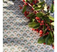 Générique Nappe provençale rectangulaire Coton Enduit plastifiée 2m x 1m55 Beaucaire écaille écru Vert