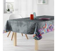 Générique Nappe Rectangle 2m40 x 1m50 T 2219 Toucan Gris Anti Tache et Infroissable