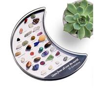 Générique Natural Crystal Collection - 5.9x3.1 inch Moon Box | 32 - Rock Set Jewelry Desk Decor Meditation Relaxation Home Office Birthday for Men Women
