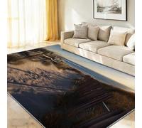 Générique Nature Tapis de Salon, Coloré Antidérapant Lavable en Machine Tapis Flanelle Douce, Moquette Motif Dunes De Sable Clôture en Bois Soleil pour Chambre Bureau Cuisine Decoration, 160 x 230 cm