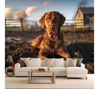 Générique Noir Chien Papier Peint Photo, Animal Mat image Muraux Poster, épaissi Photo Murale pour Chambre Salon Chambre d'enfants Mur de fond TV Dortoir Décoration Murale 250 x 175 CM