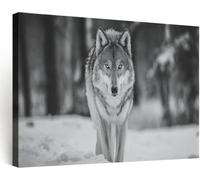 Générique Noir Et Blanc Photographie Faune Impression sur Toile Tableau Decoration 120 x 60 cm - Cadre en Image sur Toile Loup Neige Murale Art Toile Imprimée pour Salon Chambre Cuisine Salle de bain
