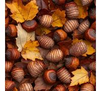 Générique Noisettes Pommes De Pin Papier Peint Épaissir Mat Auto Adhésif 44x1000 cm Bodhi Meubles Autocollants Amovible Comptoir Contact Papier Stickers Muraux pour Bains Salon Chambre