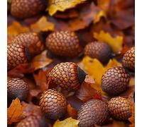 Générique Noisettes Pommes De Pin Papier Peint Épaissir Mat Auto Adhésif 44x200 cm Bodhi Meubles Autocollants Amovible Comptoir Contact Papier Stickers Muraux pour Bains Salon Chambre