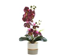 Générique Orchidée Réaliste en Jaune Artificiel dans Le Pot Phalaenopsis à Huit Têtes en Silicone avec Une Fleur de Papillon de Simulation Blanche à Huit Têtes(Rouge)
