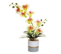 Générique Orchidée Réaliste en Jaune Artificiel dans Le Pot Phalaenopsis à Huit Têtes en Silicone avec Une Fleur de Papillon de Simulation Blanche à Huit Têtes (Jaune)
