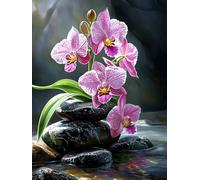 Générique Orchidées et pierres noires Kit de Broderie Point de Croix 11CT Pré-imprimé - Idéal pour Débutants et Adultes, Activité DIY pour la Décoration Intérieure 30x40cm 1659