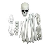 Générique Outdoor Skeleton Decor, Scary Graveyard Skeleton, Realistic Props | Haunted House Bones Decor Backyard Lawn Garden Outdoor Party Gathering Porch Haunted House