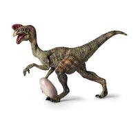 Générique Oviraptor Dinosaur Toy - 12x3.5x7.5cm Jurassic Dino | Dinosaur World Simulation Model Static Solid Animal Figure ABS Collectible Kids Educational Toy Gift for Boys Girls PĺayŔoom Display