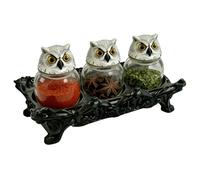 Générique Owl Apothecary Jars - Gothic Salt Container,gothic Condiment Jar | Chili Storage Jar,for Pagans Wiccans Collectors Kitchen Pantry Cabinet Shelves Living Room Bedroom