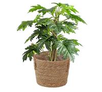 Générique Panier à | Pot de Fleurs en Paille Tressée avec | Panier à Tressé | Pour Jardin Cour Balcon Patio Pelouse Extérieur Maison