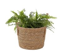 Générique Panier À Tissé - Pot De Fleurs En Paille Avec Poignée Pour L'extérieur, Paniers À D'intérieur, Panier À Linge Pliable, Rangement De Jouets | Pour Balcon Jardin Cour Allée Patio Pelouse
