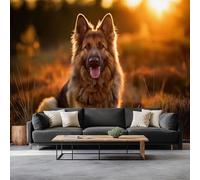 Générique Panoramique Murale Animal Berger Allemand Papier Peint Intissé, Pour Salon Chambre Enfant Chambre Décoration Couleur Orange Murale Moderne Poster Tableaux Photo Muraux 500 x 280 cm