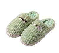 Générique Pantoufle Femme Chausson Homme Slippers Pantoufles D'halloween Unisexes Claquettes Pliables Voyage Sac Rangement Résistant À L'eau Chaussons Claquette Light Vert 37