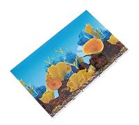 Générique Papier de Fond pour Aquarium Accessoires d'aquarium décoration Murale en macramé air Vide Poster Aquarium Poster pour Aquarium Autocollant adhésif Fond d'écran Attrayant Colorful