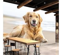Générique papier peint 3d 500x280cm Chien papier peint adhesif mural cuisine Impression 3D sur toile artistique sans couture, pour un mur d’accent dans un bureau ou salon EB24-4516
