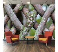 Générique Papier peint 3D Pwallpaper - Treillis de racines de palétuvier avec réseau enchevêtré de racines arquées et détails de balanes, Texture biomorphique organique