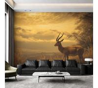 Générique Papier Peint Antilope Panoramique 450 x 260 cm, Papier Peint Intissé Faune Sauvage Africaine Coucher de Soleil Décoration Murale, Papiers Peints pour Salon Chambre saf-7