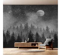 Générique Papier Peint Ciel Étoilé, Motif Papier Peint Intissé Panoramique Paysage Forest 350x256 Wallpaper Pour Salon Chambre Deco Murale W13