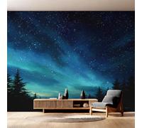 Générique Papier Peint Ciel Nocturne Papier Peint Panoramique Univers Galaxie Espace Papiers Peints Intissé Fresque Murale, Decoration Chambre Salon Wallpaper, 366 x 254 cm 6&-0