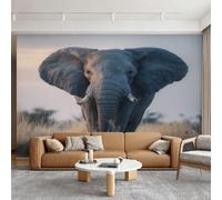 Générique Papier Peint Éléphant 396x280 cm (L x H) | Papier Peint Panoramique Animaux Sauvage, Salon, Chambre, Bureau, Décoration Intissé Murale Y&W98