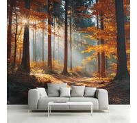 Générique Papier Peint Forêt d'Automne, 150x105, Noir Marron | Papier Peint Panoramique Paysage Naturel, Decoration Salon Chambre, Intissé Fresque Murale W66